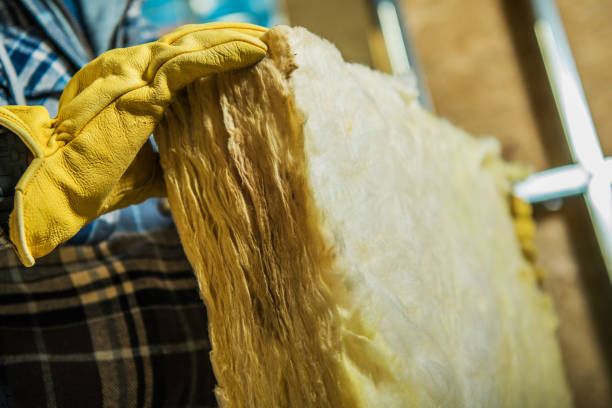 Best Cellulose Insulation in Zebulon, GA