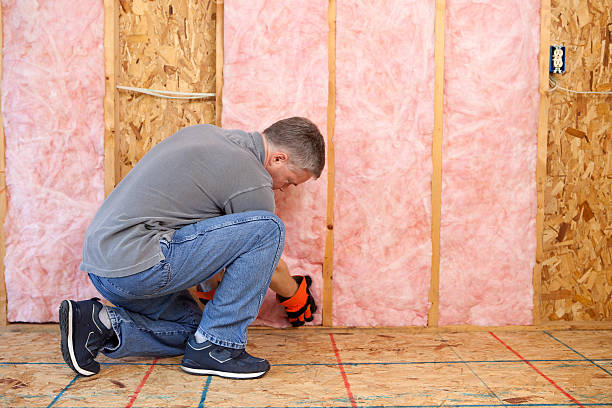 Best Energy Efficiency Insulation in Zebulon, GA